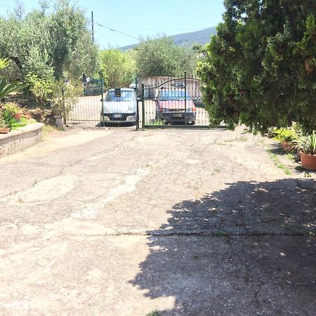Casa Vacanze La Tuia Castellabate Exteriör bild