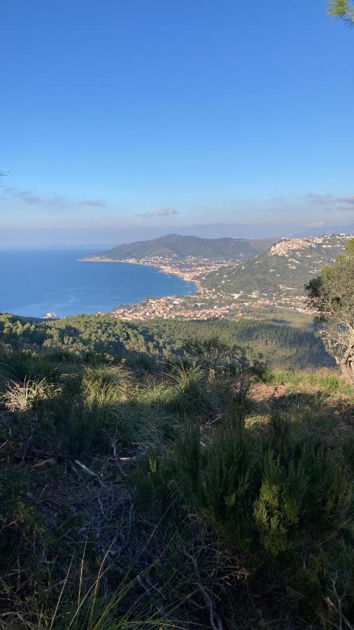 Casa Vacanze La Tuia Castellabate Exteriör bild